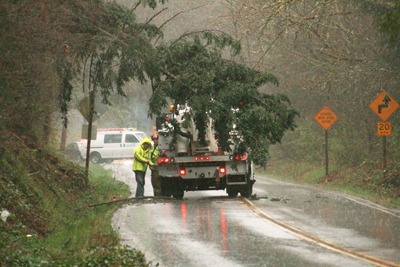 A fallen tree on Witte Road and 228th Street knocked power out to about 2