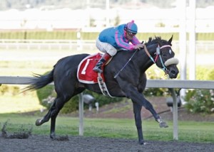 Koala Beach wins the $75