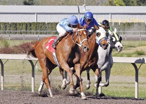 Talk to My Lawyer returned to action April 21 with an allowance victory for trainer Chris Stenslie and owner Will This One Do Stable.