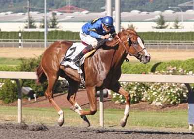 Hollywood Harbor wins Saturday stakes at Emerald Downs