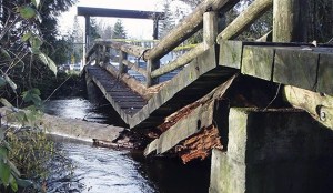 The bridge at Jenkins Creek Park crumpled under the weight of a storm in December 2010. Covington recently received a grant to replace it.