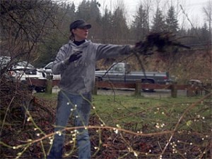Emily Sundstrom throws branches at the Maple Valley Rotary Fred V. Habenicht Park cleanup event Saturday morning.