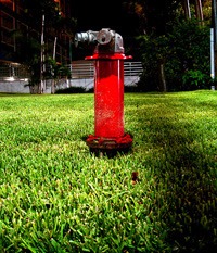 Metal thieves have hit several Kent valley businesses recently stealing brass fire department connections.