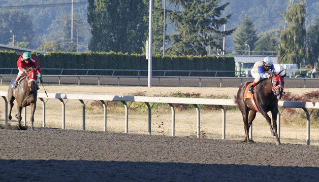 Harbor Wind and jockey Pedro Terrero are all alone Monday in the $20