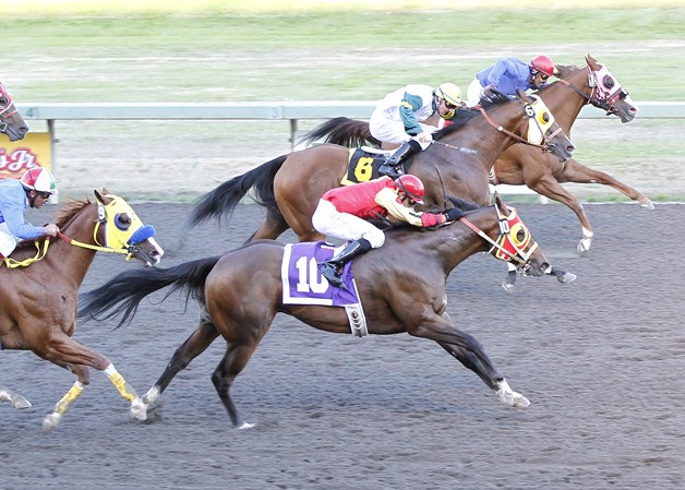 Devon Dat Cash (No. 10) defeats Vodka With Ice (rail) by a head in the $63