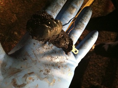 A fire fighter holds the electrical adapter which was believed to be the cause of the residential fire. No one was harmed.