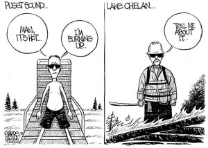 Editorial cartoon of the week by artist Frank Shiers.