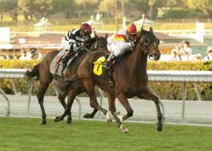 Bourbon Bay defeats Breeders' Cup Turf runner-up Pegasus in the San Marcos Stakes at Santa Anita Park