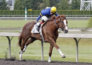 Hollywood Harbor is back on top with a 3/4-length victory in the $20