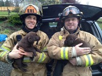 Maple Valley firefighters Mark Merlino and Ken Goll pictured holding two of the rescued puppies.