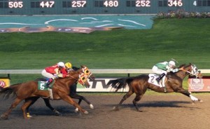 Snip N Dale wins the first quarter-horse race in Emerald Downs' history