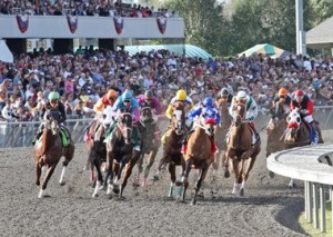 Thoroughbreds negotiate the clubhouse turn at Emerald Downs.