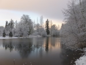Snow shot at Jenkins Creek Park in Covington Jan. 16.