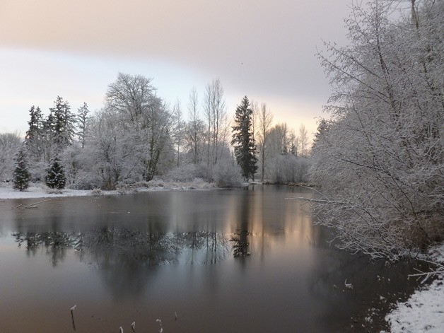 Snow shot at Jenkins Creek Park in Covington Jan. 16.
