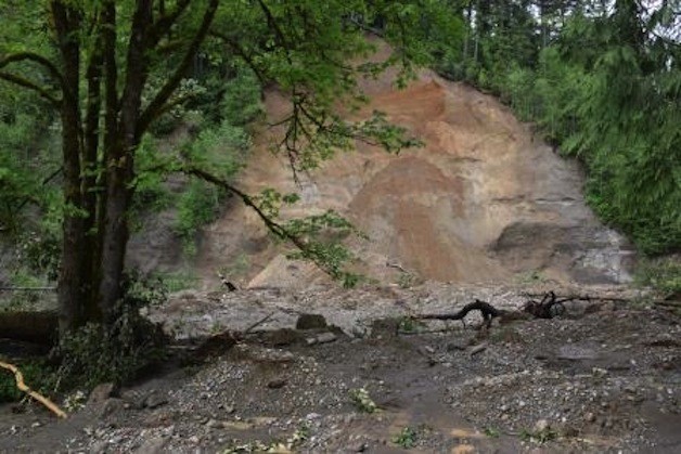 Firefighters of Maple Valley Fire and Life Safety were dispatched to a report of a mudslide in the 21300 block of 221 Ave. SE.