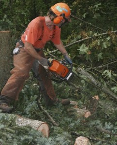 Nat Stow works on clearing trees for The Witte Road roundabout project AUg. 9 near Southeast 248th Street. The construction of the roundabout will be handled by the Maple Valley firm Goodfellow Bros.