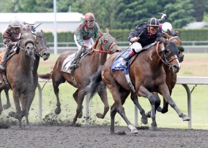 Rainier Ice and jockey Gallyn Mitchell edge clear in the $17