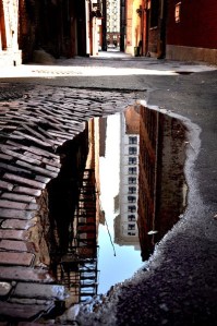 Griffin Running's photo titled “Puddle