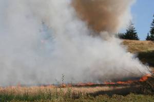 Fire on the Elk Run Golf Course July 4.