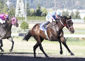 Noosa Beach and jockey Ricky Frazier won the $50