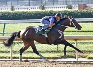 Atta Boy Roy and three-time Kentucky Derby-winning jockey Calvin Borel breeze four furlongs in a bullet 47 2/5 seconds Sunday