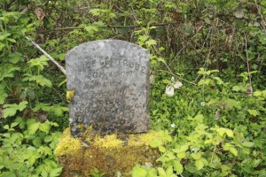 The grave of Alice Gertrude Johnson in the Franklin Cemetery. The date of birth and death read: January 1
