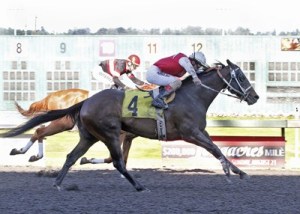 Zagreus and jockey Pedro Terrero collar Seven Torrents and jockey Juan Gutierrez in the closing strides for a half-length victory in the $18