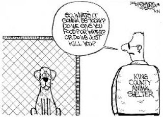 From Susan A. Crawford