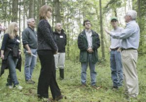 On a wooded sit set aside by Covington for recreation uses