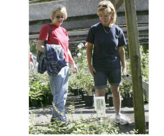 Lake Wilderness Arboretum’s annual fall plant sale last Saturday was a fund-raiser for the non-profit organization. But for Peggy King (left) and Laura Sullivan
