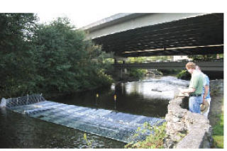 Seattle residents Rick Shinnick (left) and Mike Darr pause in their walk along the Cedar River to read about a fish weir that’s part of efforts to improve sockeye salmon runs.