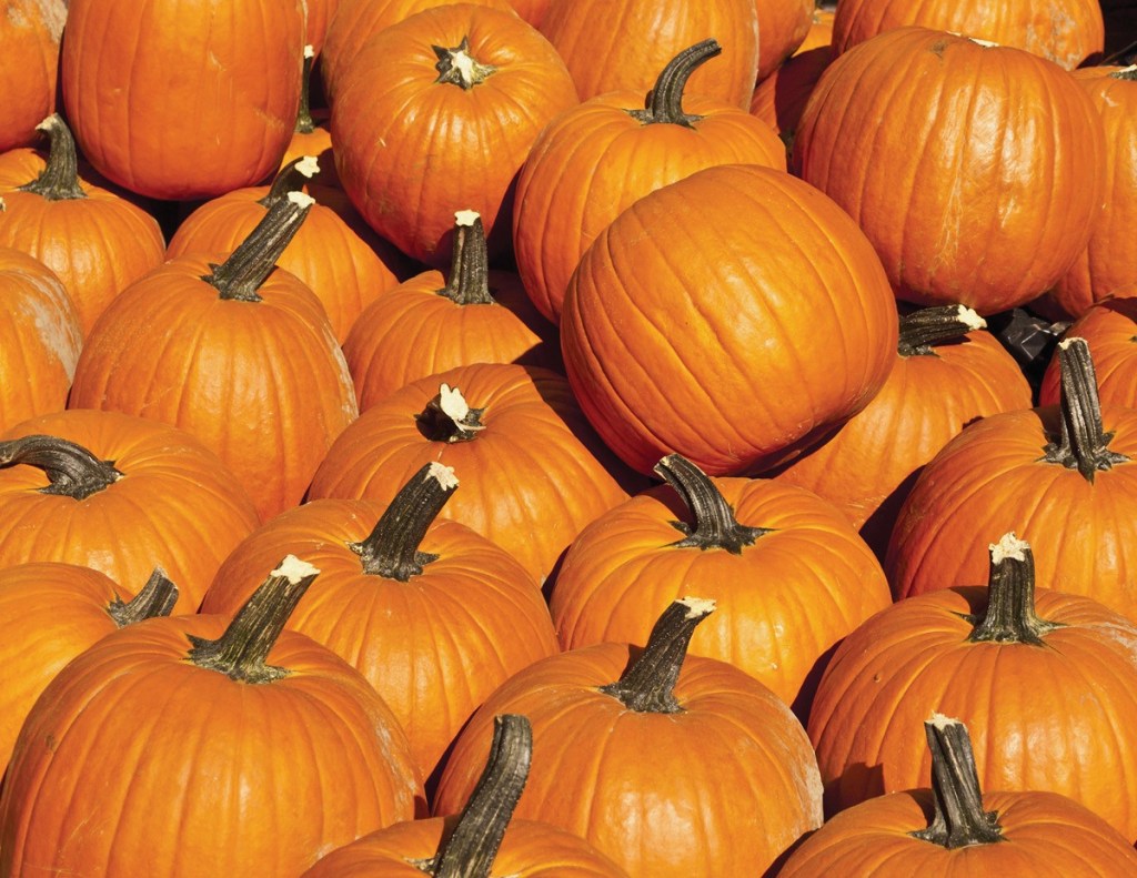 Tips and tricks for a safe Halloween