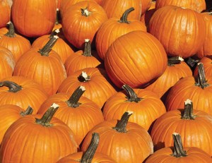 Tips and tricks for a safe Halloween