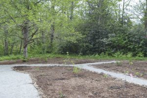 Courtesy photo from Tahoma Green Team's Facebook page