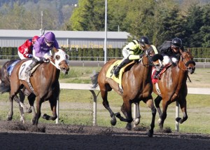 Class Included (center) holds off Sweet Nellie Brown (left) and pace-setter Elusive Noise (right) for a one-length victory in the $21