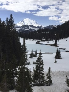 High visitation expected at Mount Rainier National Park during centennial weekend