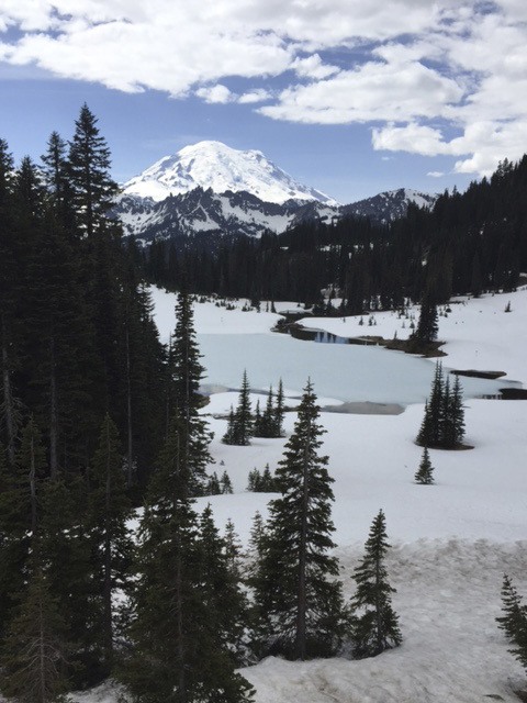High visitation expected at Mount Rainier National Park during centennial weekend