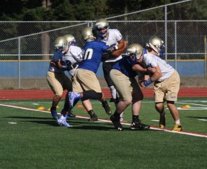 Senior quarterback Amandre Williams