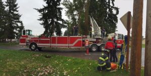 Easthill resident rescued from tree.