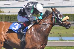 Emerald Downs announces 70-day race meet for 2017