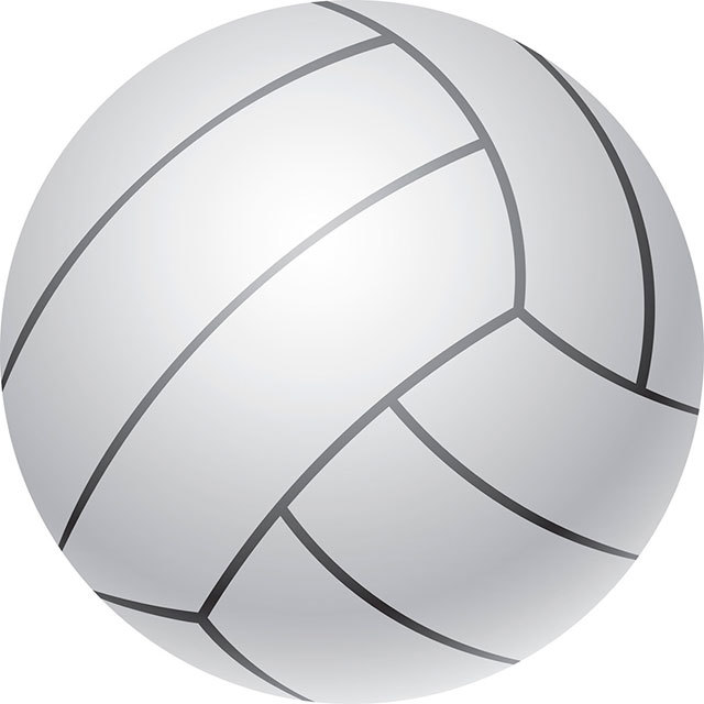 Conks, Bears place in top eight at state