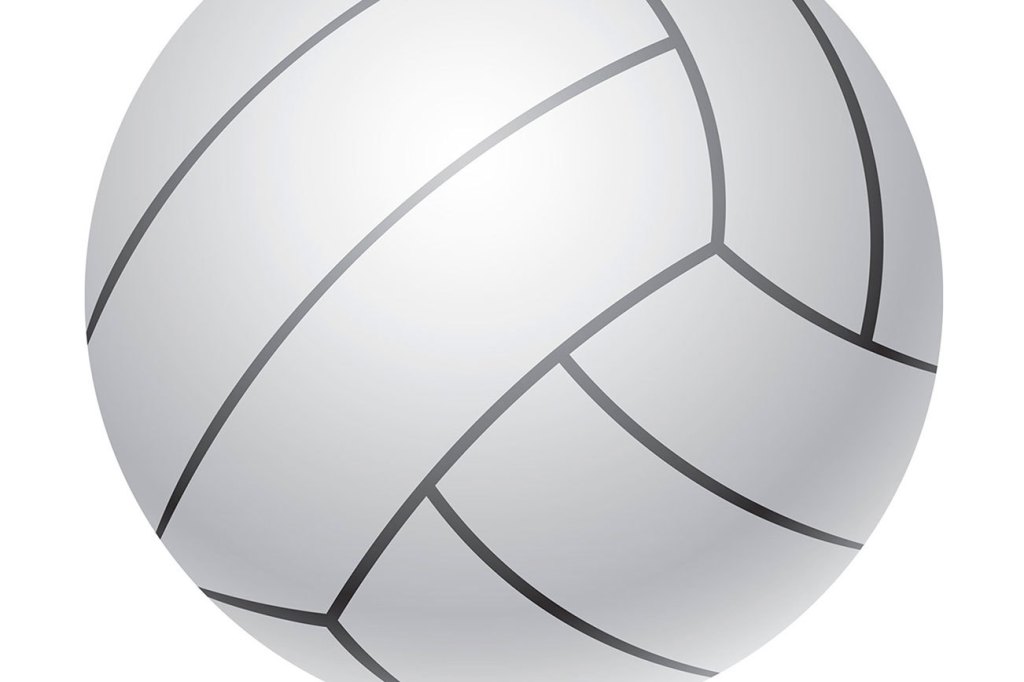 Conks, Bears place in top eight at state