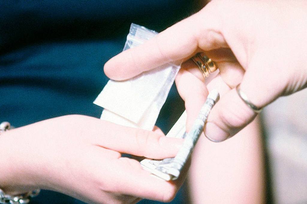 DEA busts two Maple Valley residents as part of 10-member drug trafficking ring