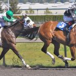 Forbidden Kee and jockey Rocco Bowen lead the field in the first race on opening day at Emerald Downs last April. The track opens for Thoroughbred racing April 8, the first of 70 live dates at the Auburn oval. RACHEL CIAMPI, The Reporter