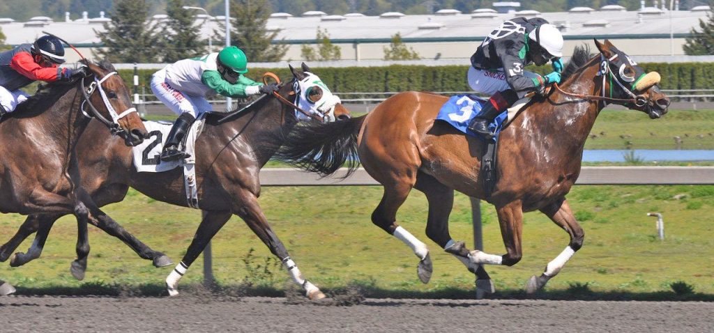 Forbidden Kee and jockey Rocco Bowen lead the field in the first race on opening day at Emerald Downs last April. The track opens for Thoroughbred racing April 8, the first of 70 live dates at the Auburn oval. RACHEL CIAMPI, The Reporter