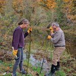 Natural Resources students Mari Knutson (left) and Peter Martinez remove invasive species at Jenkins Creek. Submitted photo.