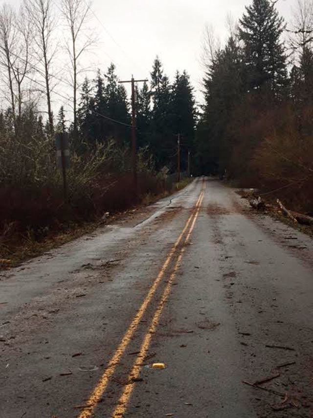 Debris was covering the road Monday morning near Lake Wilderness Park. Photos by Sarah Brenden