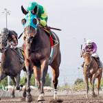 Emerald Downs announces 2017 stakes schedule