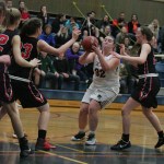 Falcons girls win by one, earn bye game | Photo Gallery