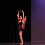 RHS Multicultural Show 2017 | GALLERY